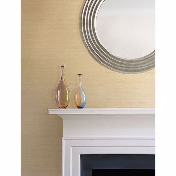 Show details for Klaudia Champagne Foil Grasscloth