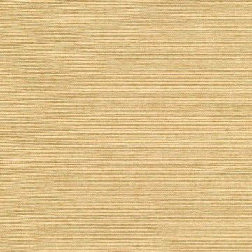Show details for Yana Sand Grasscloth