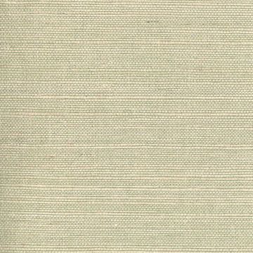 Picture of Barbora Light Green Grasscloth 