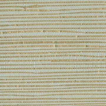 Show details for Arina Turquoise Grasscloth