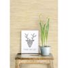 Natalie Taupe Faux Grasscloth