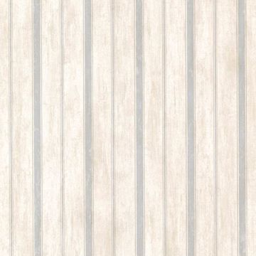 Picture of Parker  Blue Stripe 