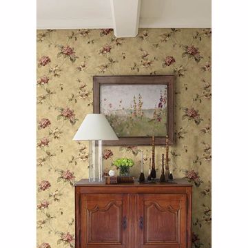 Show details for Hydrangea  Maroon Trail