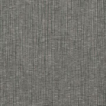 Picture of Texture Charcoal Raffia 