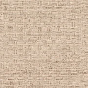 Picture of Texture Beige Woven 