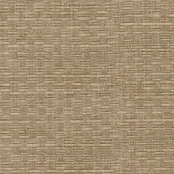 Picture of Texture Light Brown Woven 
