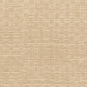 Picture of Texture Honey Woven 