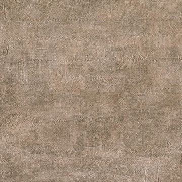 Picture of Texture Light Brown Rugged 