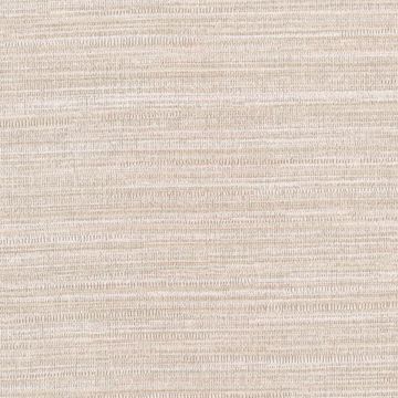 Picture of Texture Beige Zoster 