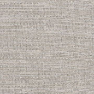 Picture of Texture Grey Zoster 