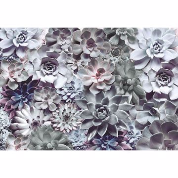Show details for Shades Wall Mural
