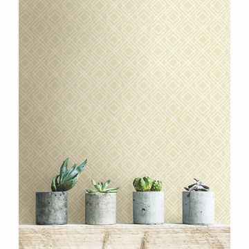 Show details for Milly Green Lattice