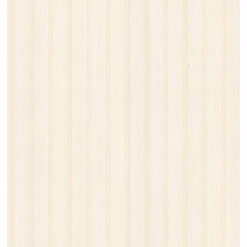 Picture of Aster Peach Beadboard 