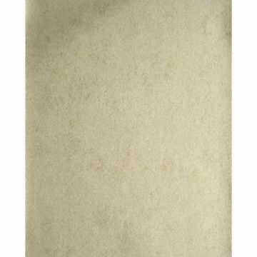 Picture of Star Khaki Texture 