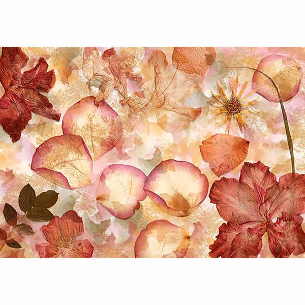 DM963 - Dried Flowers Wall Mural - by Ideal Decor