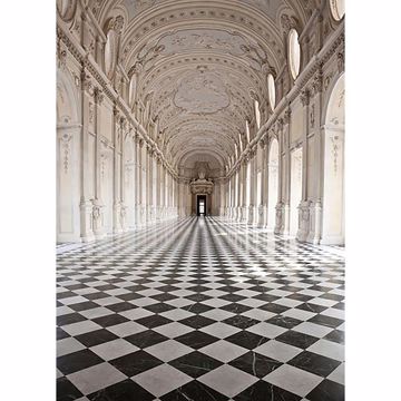 Show details for Palace of Venaria Wall Mural