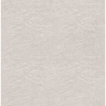 Picture of Azmaara Taupe Texture 