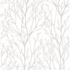 Picture of Autumn Silver Tree