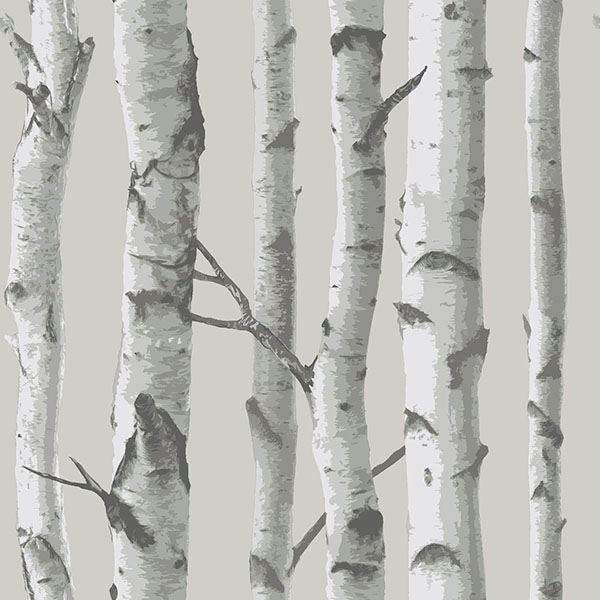 Picture of Mountain Birch Grey Peel And Stick Wallpaper