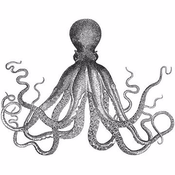 Show details for Black Ink Wall Art Kit