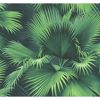 Picture of Endless Summer Dark Green Palm Wallpaper 