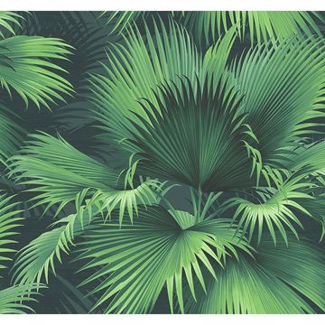Picture of Endless Summer Dark Green Palm Wallpaper 