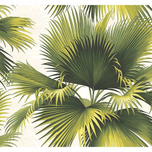 Picture of Endless Summer Green Palm Wallpaper 