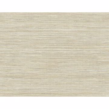 Picture of Baja Grass Brown Texture Wallpaper 