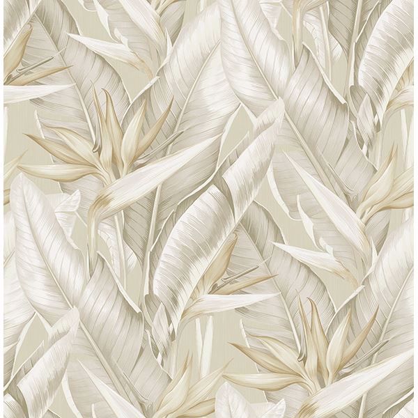 Picture of Arcadia Beige Banana Leaf Wallpaper 