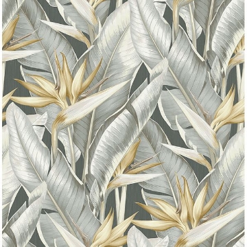 Picture of Arcadia Grey Banana Leaf Wallpaper 
