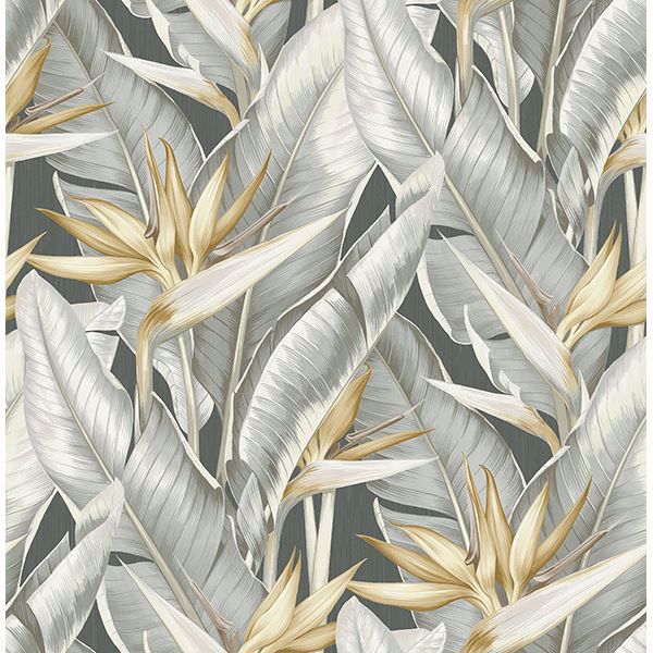 Picture of Arcadia Grey Banana Leaf Wallpaper 