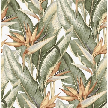Picture of Arcadia Light Green Banana Leaf Wallpaper 
