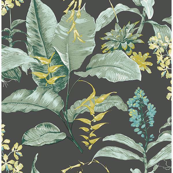 Picture of Maui Black Botanical Wallpaper 