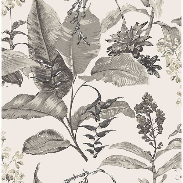 Picture of Maui White Botanical Wallpaper 