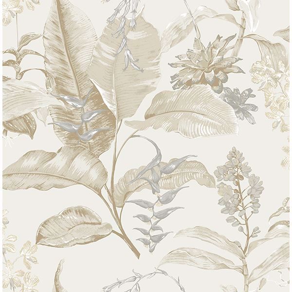 Picture of Maui Beige Botanical Wallpaper 