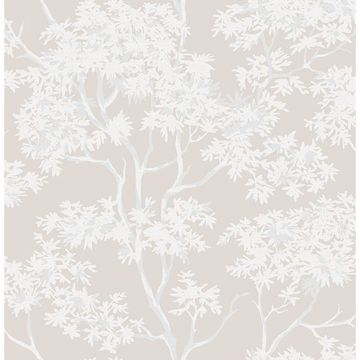 Picture of Paix Grey Trees Wallpaper 