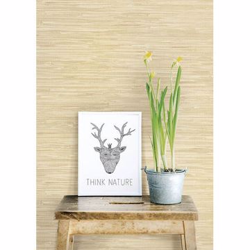 Show details for Natalie Taupe Faux Grasscloth Wallpaper