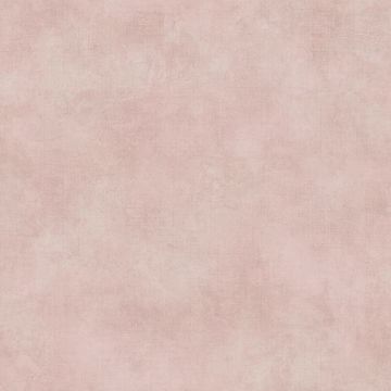 Picture of Crawley Rose Texture Wallpaper 