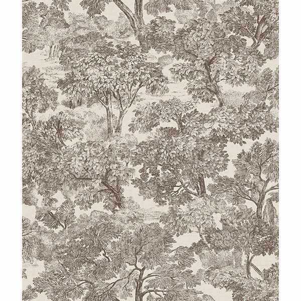 Picture of Blyth Brown Toile Wallpaper 