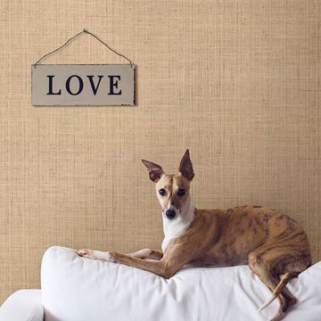 Show details for Jonus Honey Faux Grasscloth Wallpaper