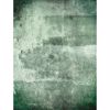 Picture of Green Weathered Wall Mural 