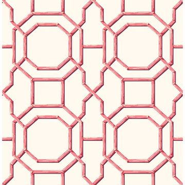 Picture of Summer Coral Trellis Wallpaper 