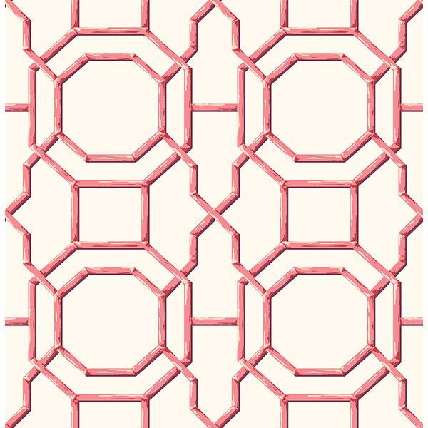 Picture of Summer Coral Trellis Wallpaper 