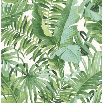 Picture of Alfresco Green Palm Leaf Wallpaper