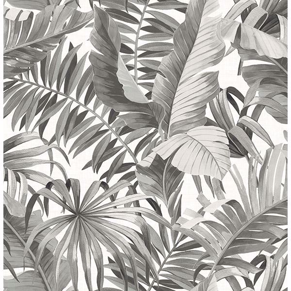 Picture of Alfresco Black Palm Leaf Wallpaper