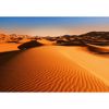 Picture of Desert Landscape Wall Mural 