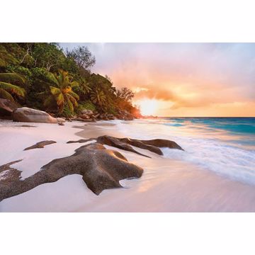 Show details for Nature Wall Mural