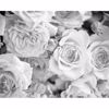 Picture of Grey Petals Wall Mural 