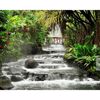 Picture of Tranquil Waterfall Wall Mural 