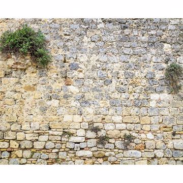 Show details for Stone Wall Mural